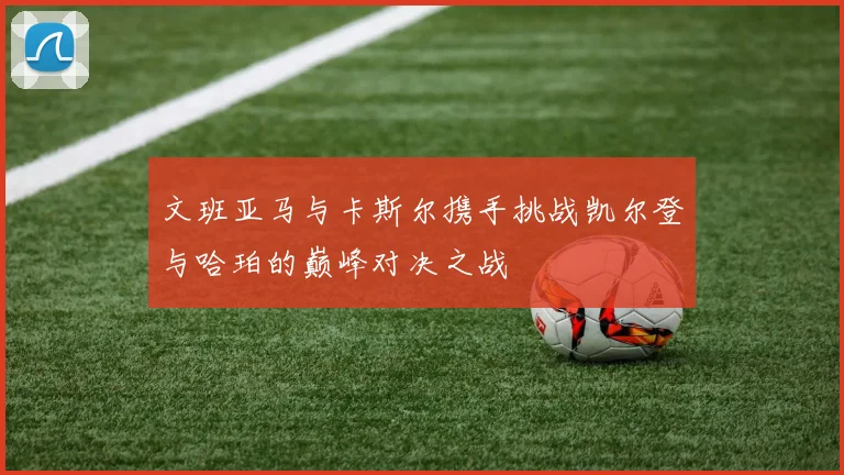 文班亚马与卡斯尔携手挑战凯尔登与哈珀的巅峰对决之战