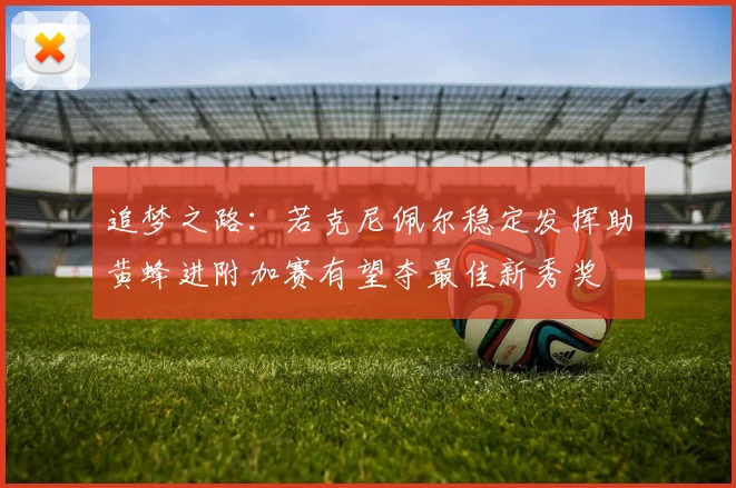 追梦之路：若克尼佩尔稳定发挥助黄蜂进附加赛有望夺最佳新秀奖