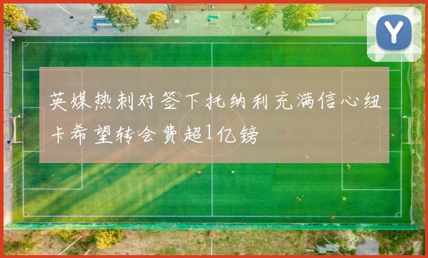 英媒热刺对签下托纳利充满信心纽卡希望转会费超1亿镑